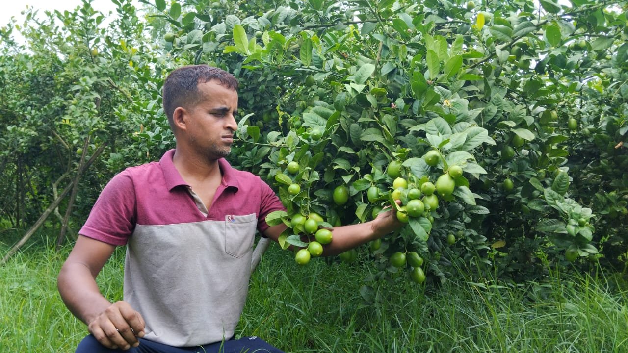 WhatsApp Image 2025-03-16 at 4.03.48 PM (1)