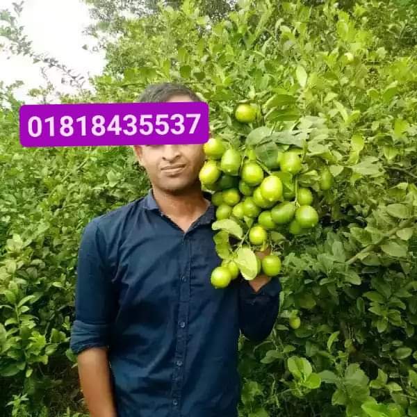WhatsApp Image 2025-03-16 at 4.03.48 PM (2)