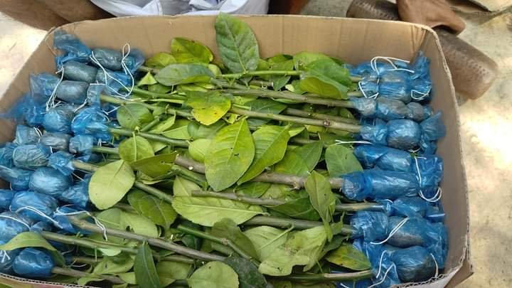WhatsApp Image 2025-03-16 at 4.03.48 PM